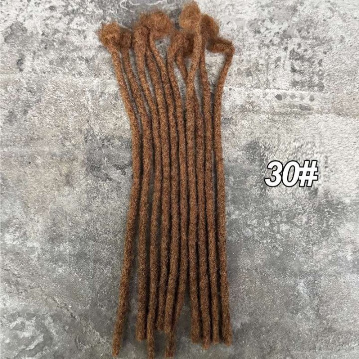Extensions de Locs Colorées de 0,6 cm de Largeur, 10 Pouces, Cheveux Humains 100% Naturels, Extensions de Dreadlocks pour Hommes
